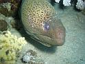 100309 sharm valerio